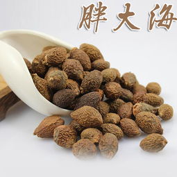 胖大海中药饮片 传统草本润喉良品