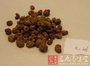 中药饮片国际化 东盟市场能否率先突破？